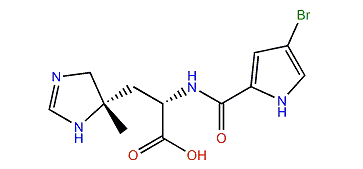 Clathramide C